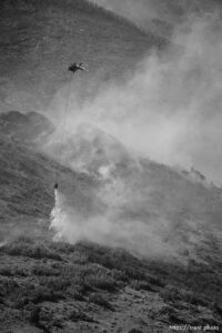 (Trent Nelson  |  The Salt Lake Tribune) East Canyon Fire burns north of East Canyon State Park, on Tuesday, June 8, 2021.