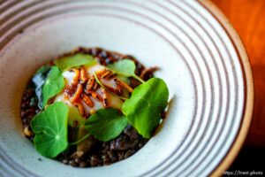 (Trent Nelson  |  The Salt Lake Tribune) Johnson's Farm Soft Cooked Egg  at Table X in Salt Lake City on Wednesday, June 23, 2021.