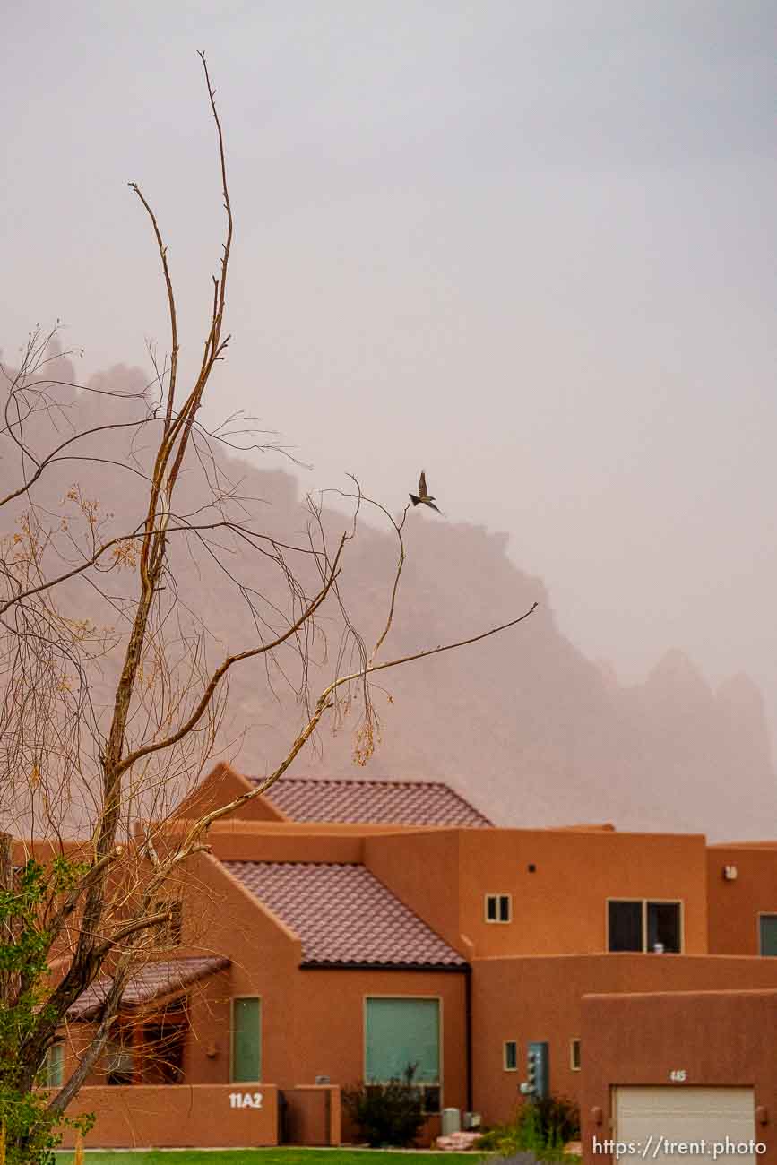 (Trent Nelson  |  The Salt Lake Tribune) Rim Village, a subdivision in Moab on Wednesday, July 14, 2021.