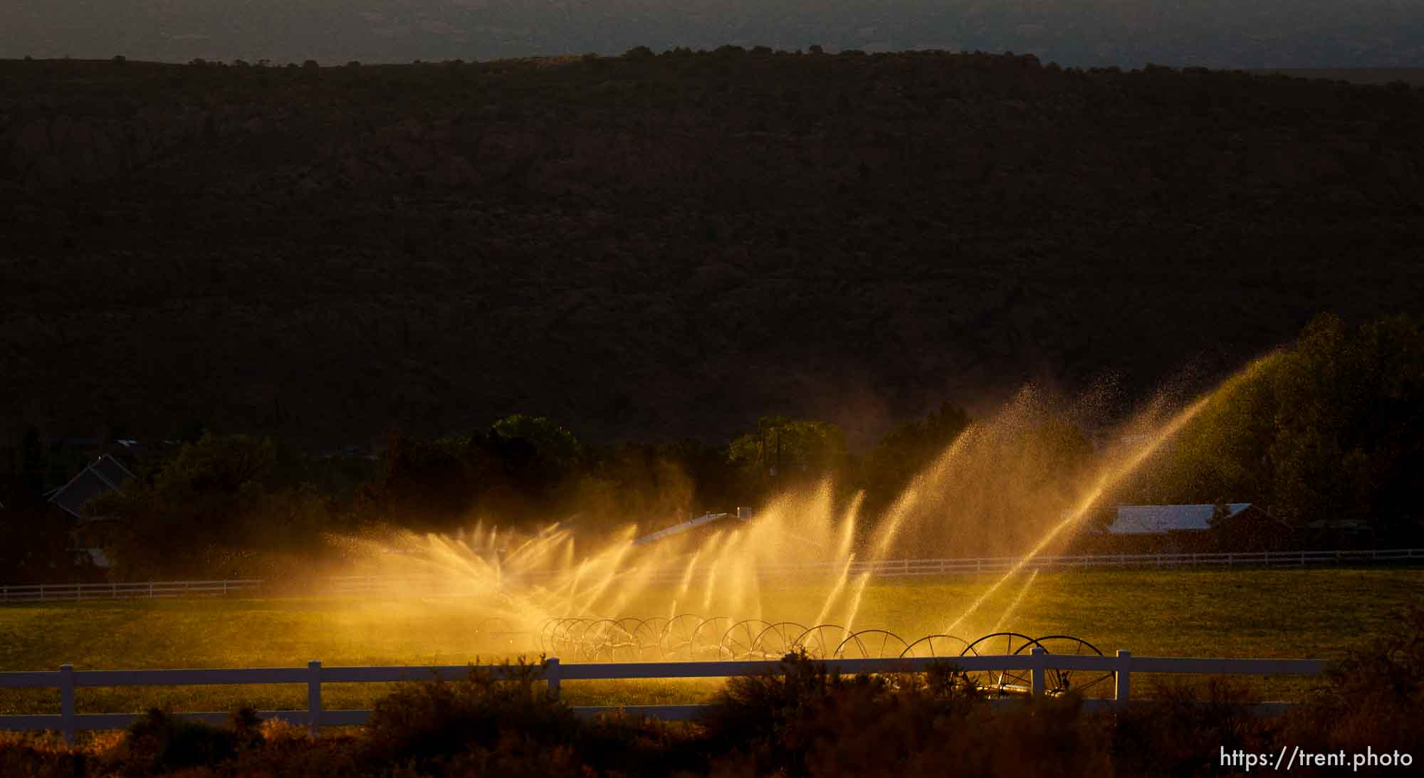 (Trent Nelson  |  The Salt Lake Tribune) Irrigation in Moab on Thursday, July 15, 2021.