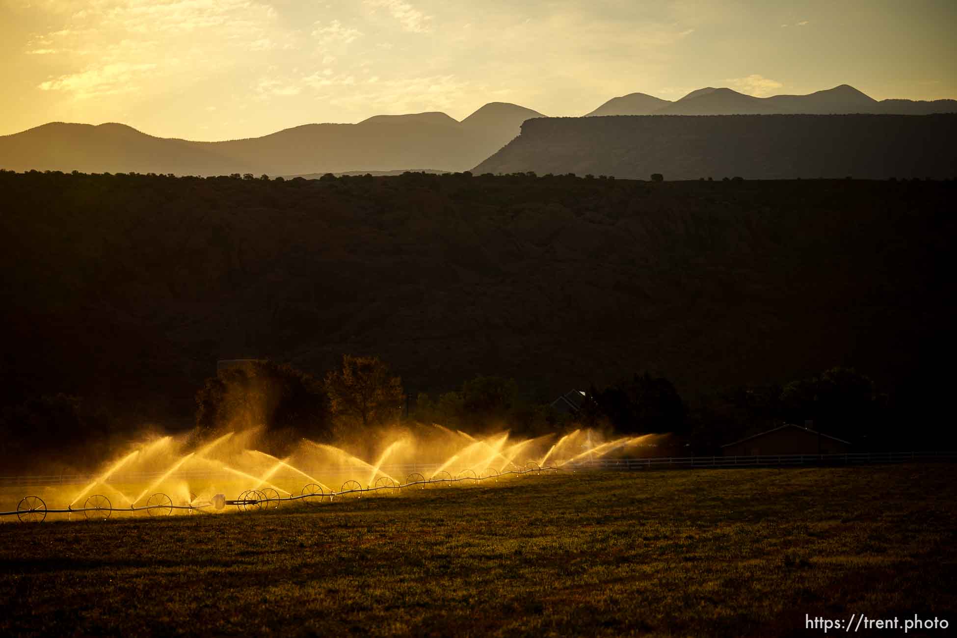 (Trent Nelson  |  The Salt Lake Tribune) Irrigation in Moab on Thursday, July 15, 2021.