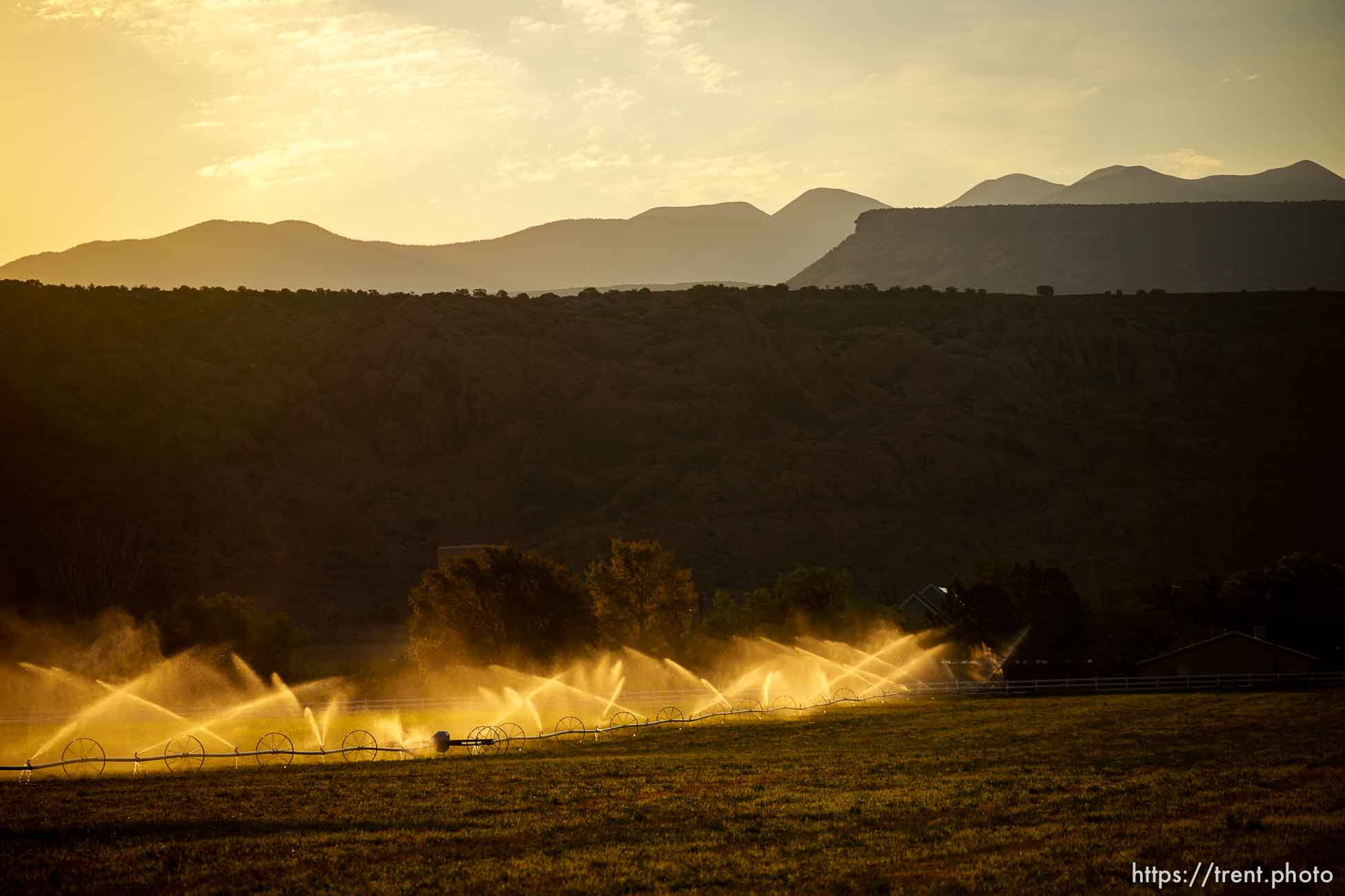 (Trent Nelson  |  The Salt Lake Tribune) Irrigation in Moab on Thursday, July 15, 2021.