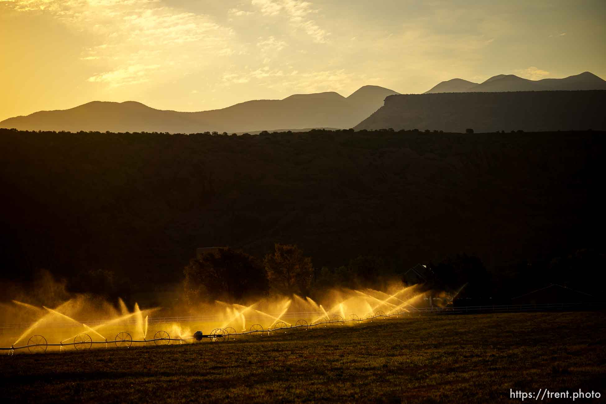 (Trent Nelson  |  The Salt Lake Tribune) Irrigation in Moab on Thursday, July 15, 2021.