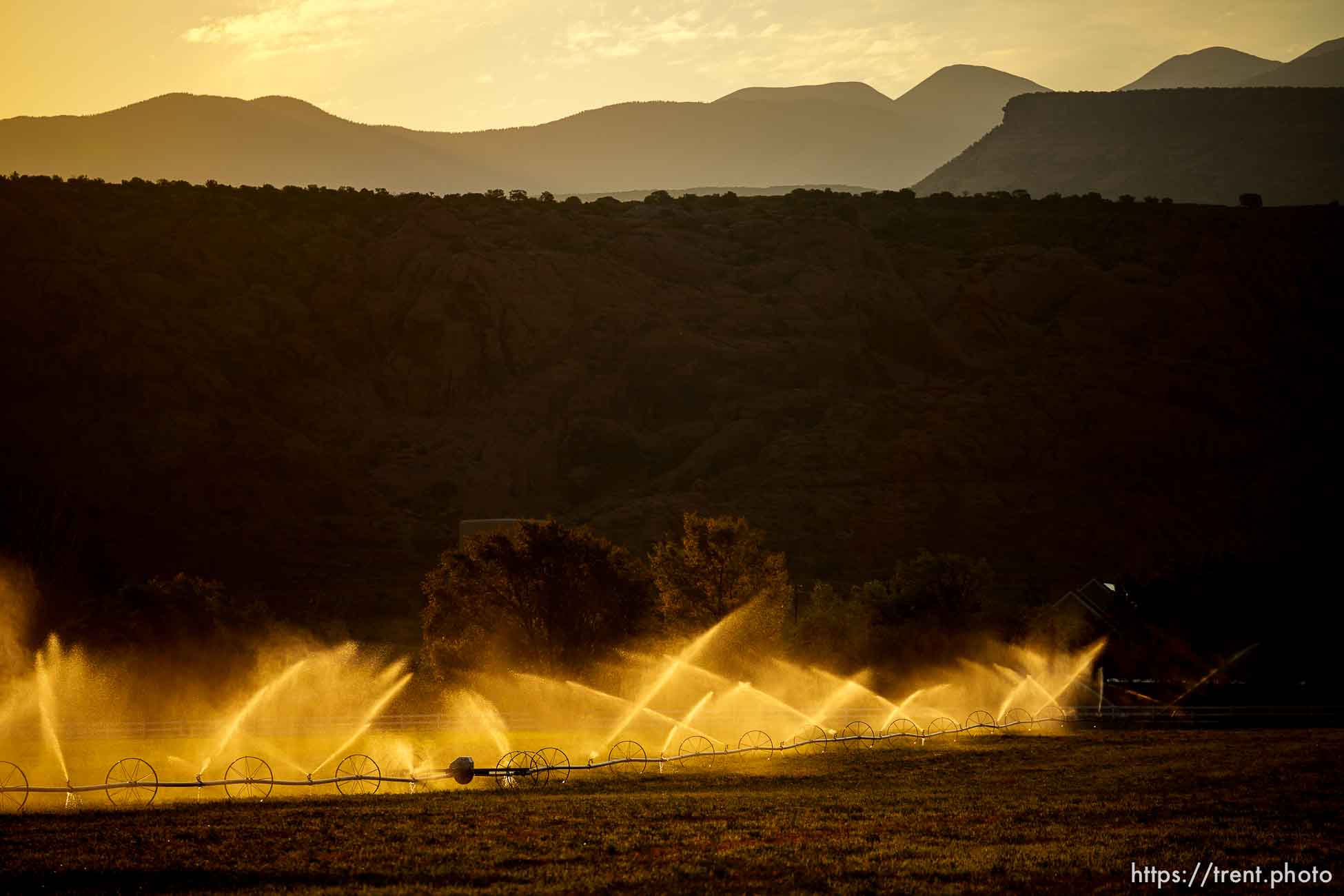 (Trent Nelson  |  The Salt Lake Tribune) Irrigation in Moab on Thursday, July 15, 2021.