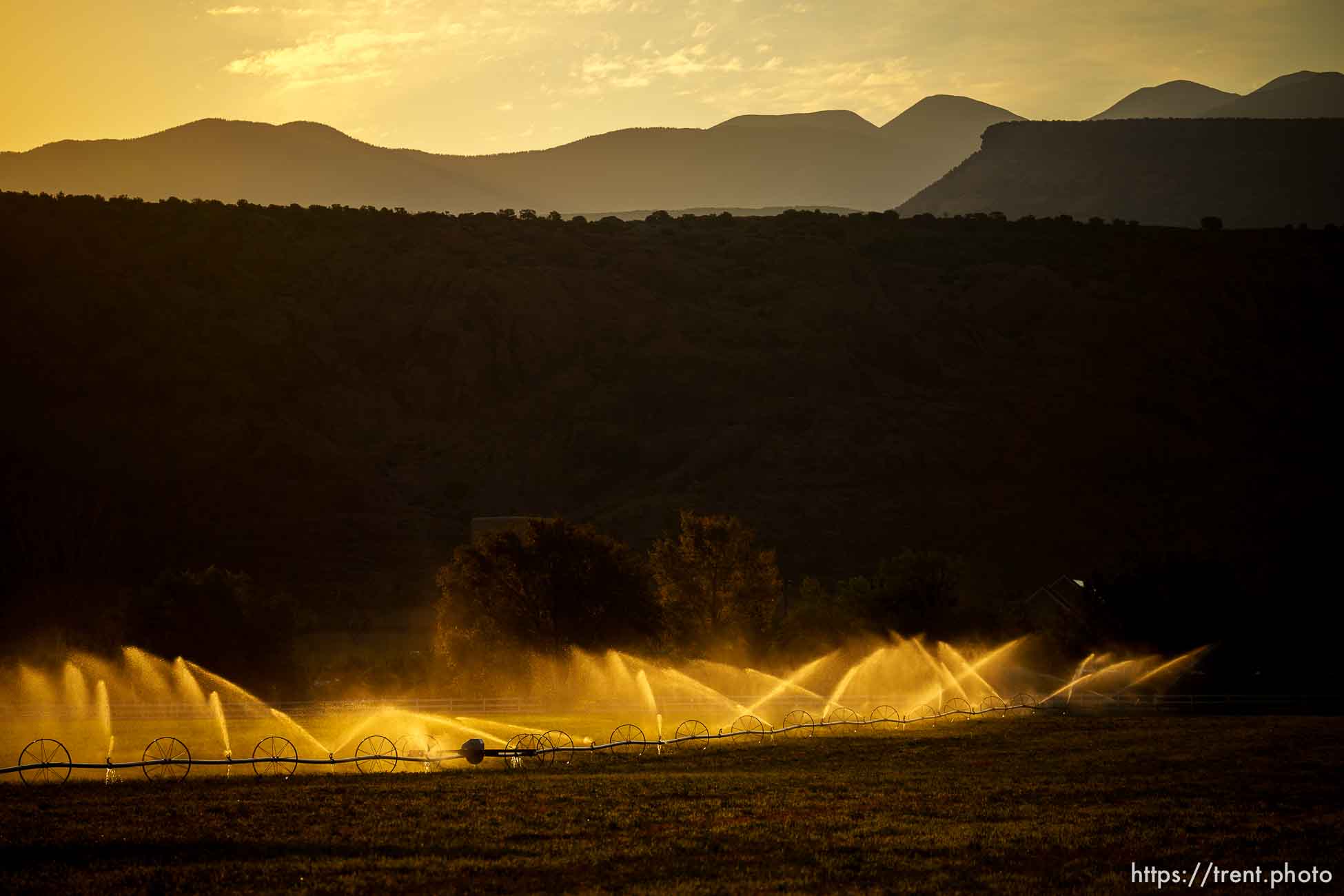 (Trent Nelson  |  The Salt Lake Tribune) Irrigation in Moab on Thursday, July 15, 2021.