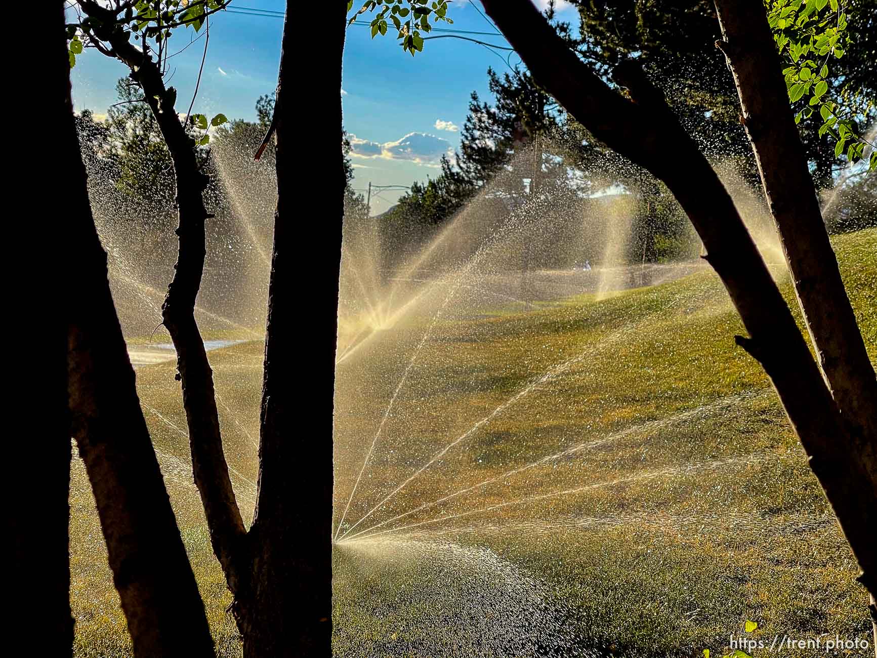 (Trent Nelson  |  The Salt Lake Tribune) Spinning sprinkler in Salt Lake City on Tuesday, June 29, 2021.