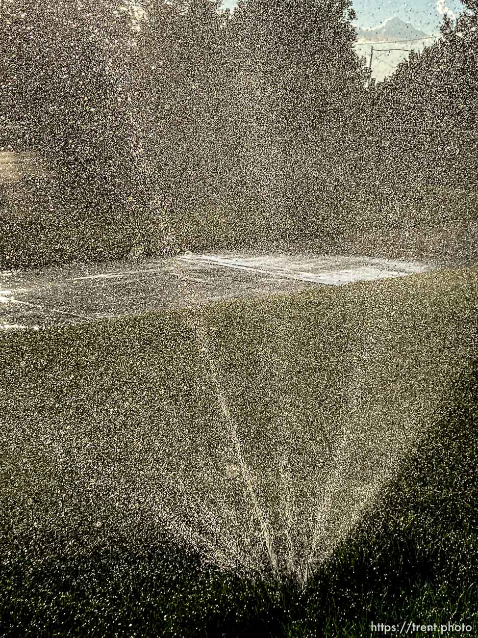 (Trent Nelson  |  The Salt Lake Tribune) Spinning sprinkler in Salt Lake City on Tuesday, June 29, 2021.