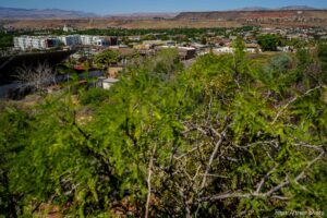 (Trent Nelson  |  The Salt Lake Tribune) The view of St. George from Temple Springs Nature Park on Thursday, June 10, 2021.