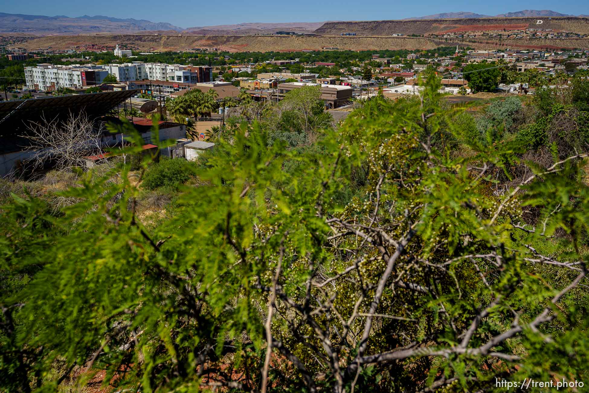 (Trent Nelson  |  The Salt Lake Tribune) The view of St. George from Temple Springs Nature Park on Thursday, June 10, 2021.