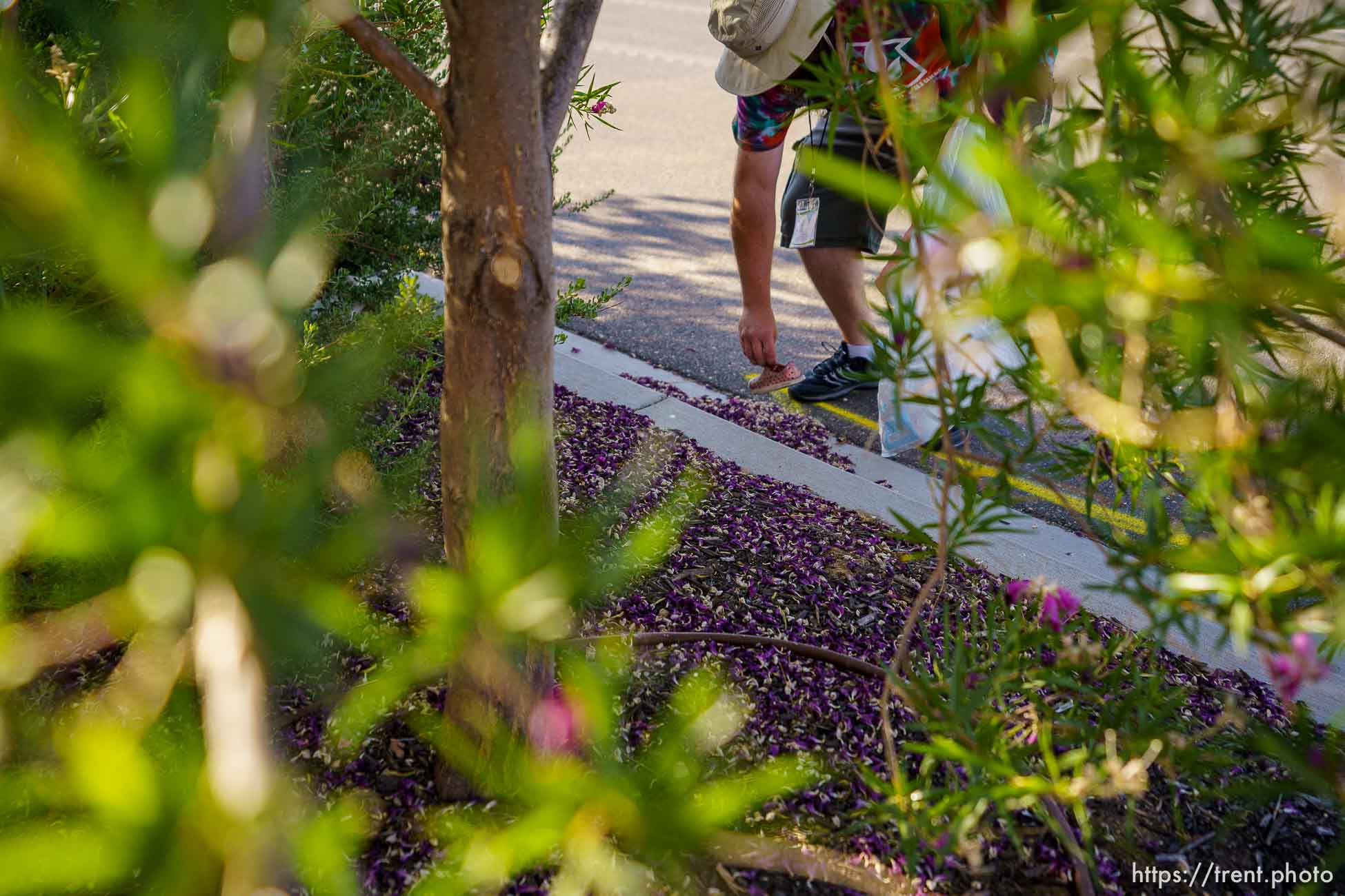 (Trent Nelson  |  The Salt Lake Tribune) Skyler Marshall, street outreach case manager for Youth Futures, doing outreach on Friday, June 11, 2021.