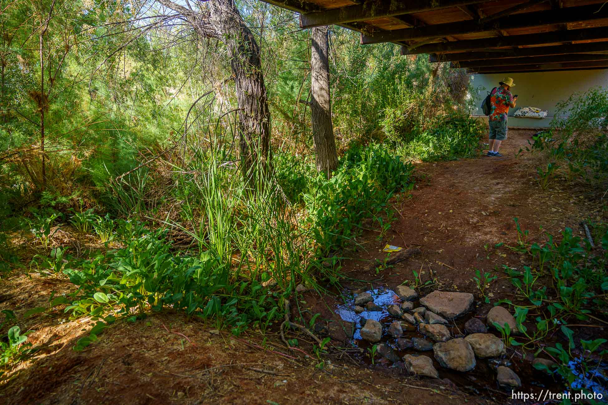 (Trent Nelson  |  The Salt Lake Tribune) Skyler Marshall looks over belongings left by a youth experiencing homelessness in Royal Oaks Park in St. George on Friday, June 11, 2021. Marshall is the street outreach case manager for the nonprofit Youth Futures.