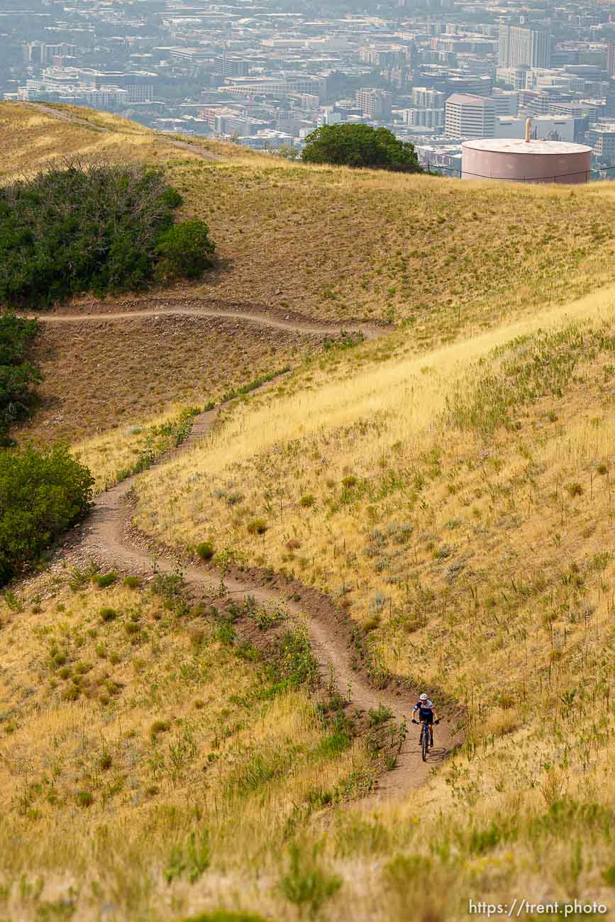 (Trent Nelson  |  The Salt Lake Tribune) The Bonneville Shoreline Trail, Valley View, in the Foothills Natural Area on Tuesday, Aug. 10, 2021.