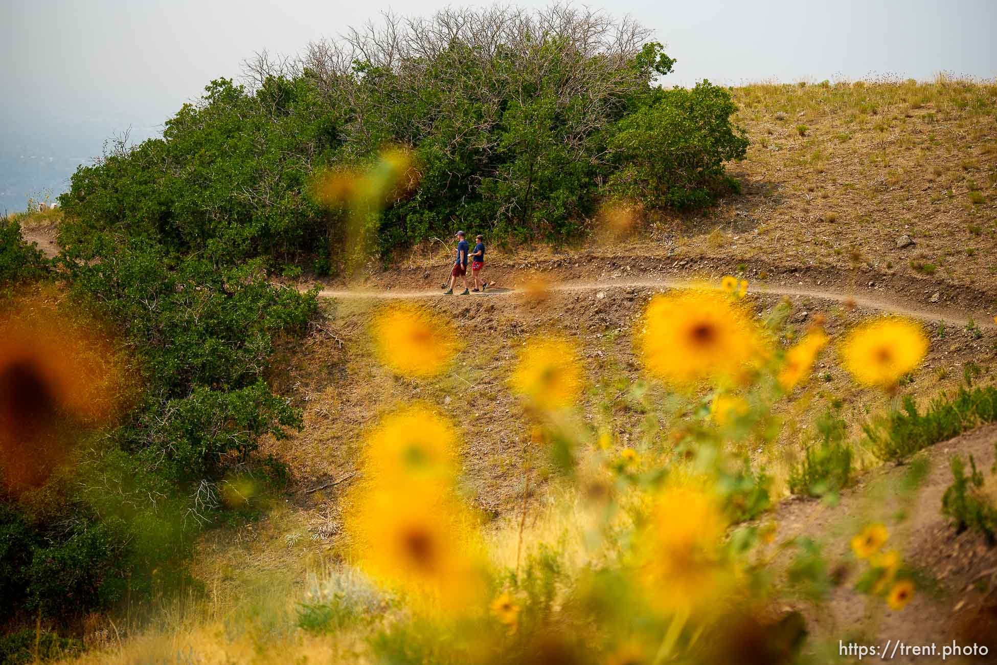 (Trent Nelson  |  The Salt Lake Tribune) Eric Edelman gives an overview to Salt Lake City Council member Amy Fowler of new trails in the Foothills Natural Area on Tuesday, Aug. 10, 2021.