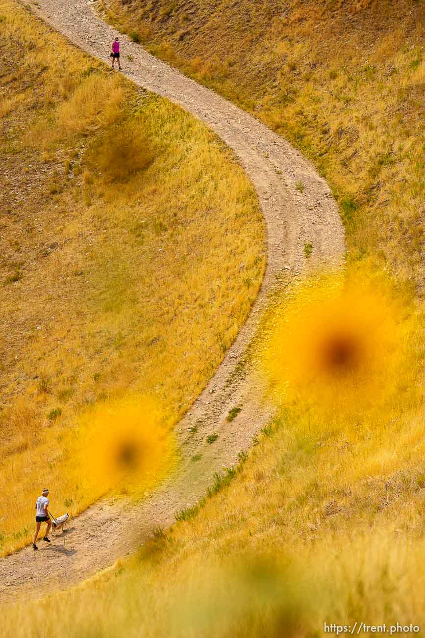 (Trent Nelson  |  The Salt Lake Tribune) Hikers on Terrace Hills West, a trail in the Foothills Natural Area on Tuesday, Aug. 10, 2021.