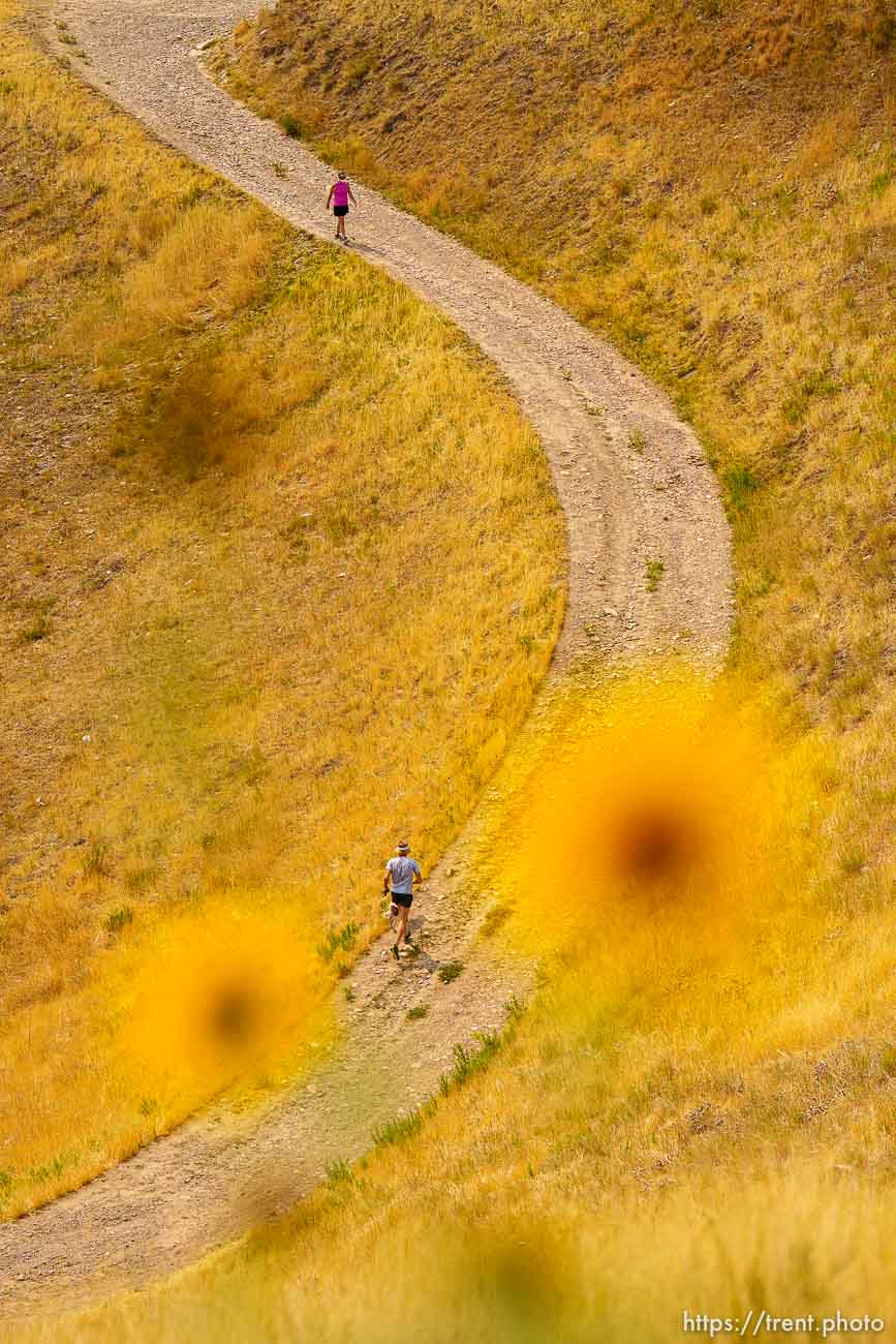 (Trent Nelson  |  The Salt Lake Tribune) Hikers on Terrace Hills West, a trail in the Foothills Natural Area on Tuesday, Aug. 10, 2021.