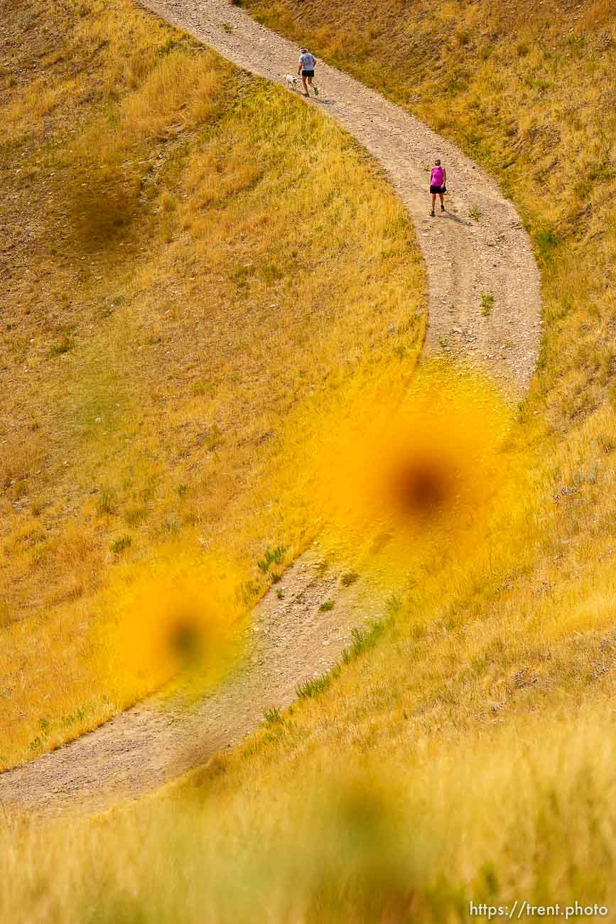 (Trent Nelson  |  The Salt Lake Tribune) Hikers on Terrace Hills West, a trail in the Foothills Natural Area on Tuesday, Aug. 10, 2021.