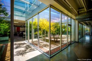 (Trent Nelson  |  The Salt Lake Tribune) One of three courtyards at the offices of Arch Nexus in Salt Lake City on Wednesday, Aug. 11, 2021.