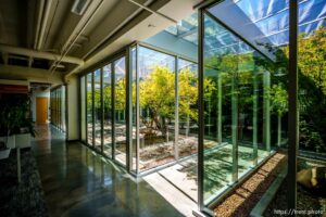 (Trent Nelson  |  The Salt Lake Tribune) Courtyards at the offices of Arch Nexus in Salt Lake City on Wednesday, Aug. 11, 2021.