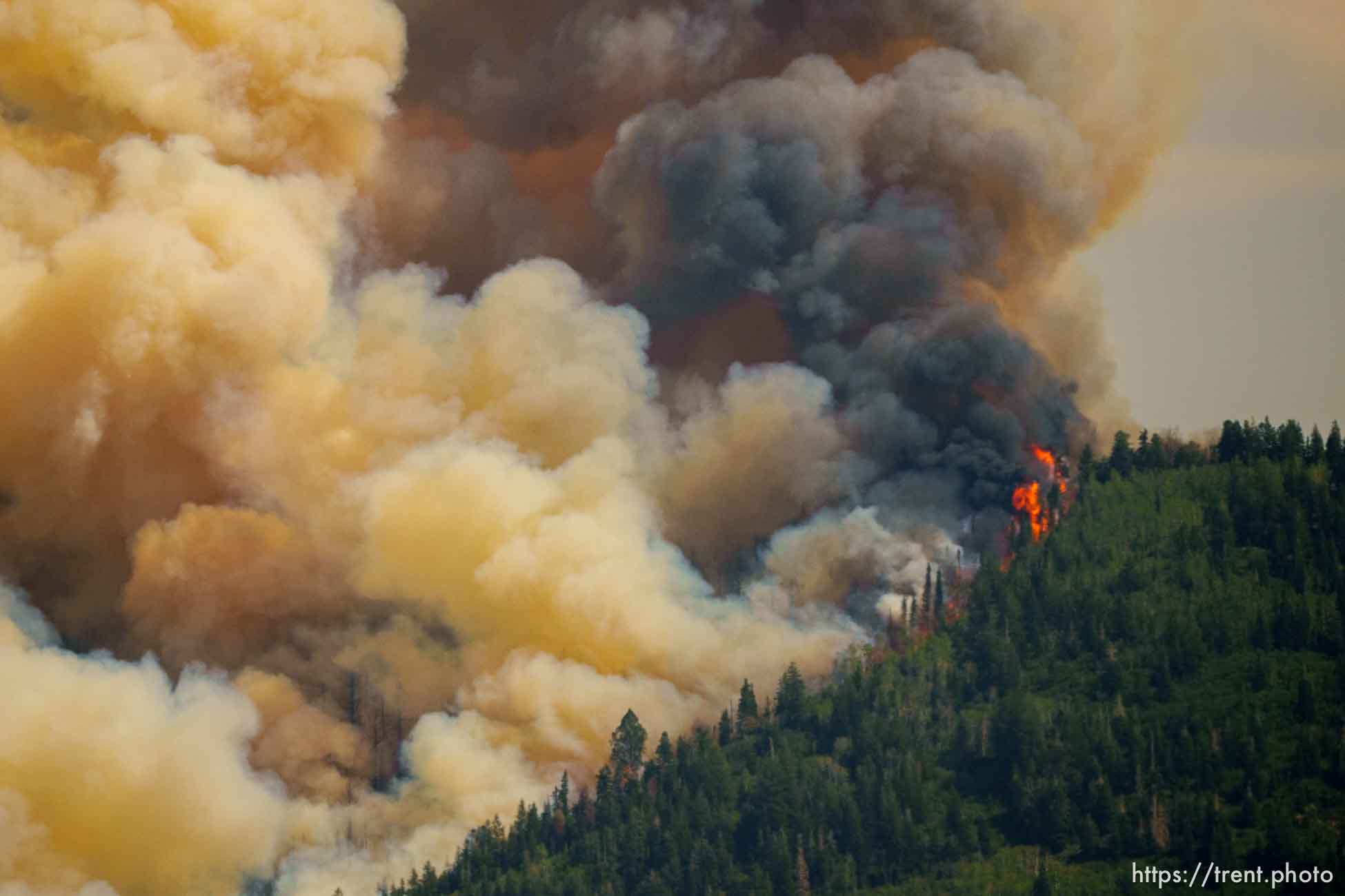 (Trent Nelson  |  The Salt Lake Tribune) The Parleys Canyon Fire burns on Saturday, Aug. 14, 2021.