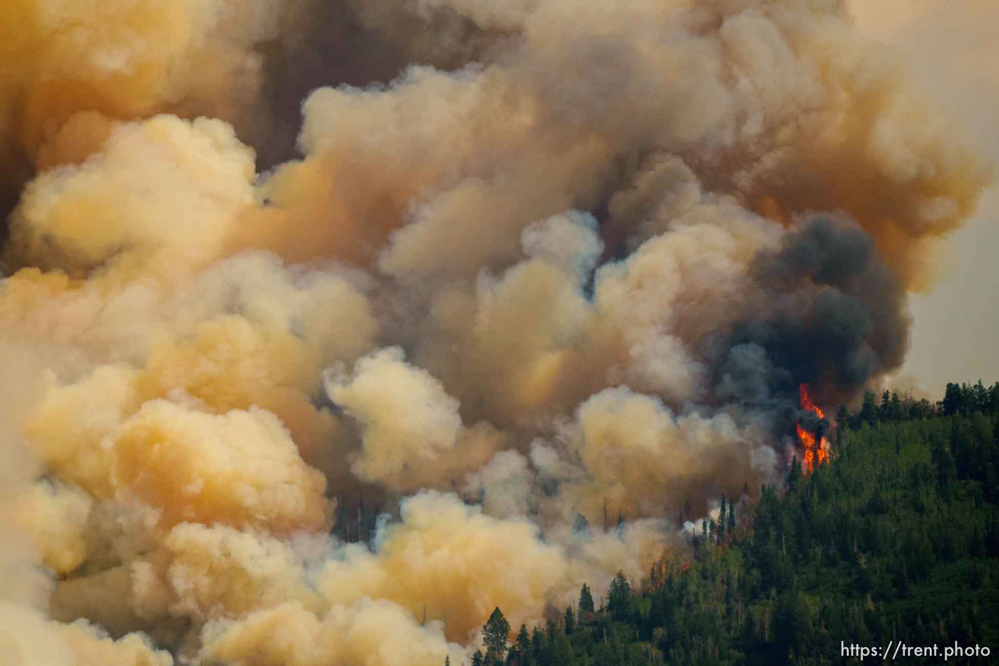 (Trent Nelson  |  The Salt Lake Tribune) The Parleys Canyon Fire burns on Saturday, Aug. 14, 2021.