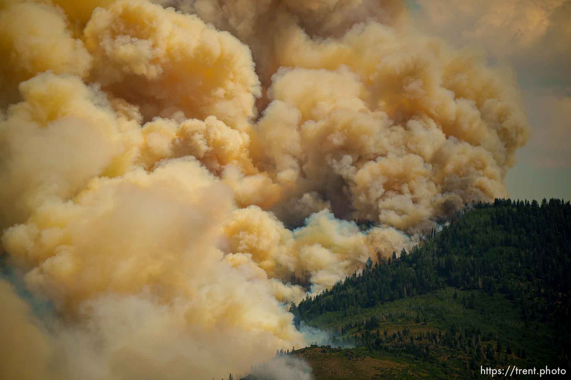 (Trent Nelson  |  The Salt Lake Tribune) The Parleys Canyon Fire burns on Saturday, Aug. 14, 2021.