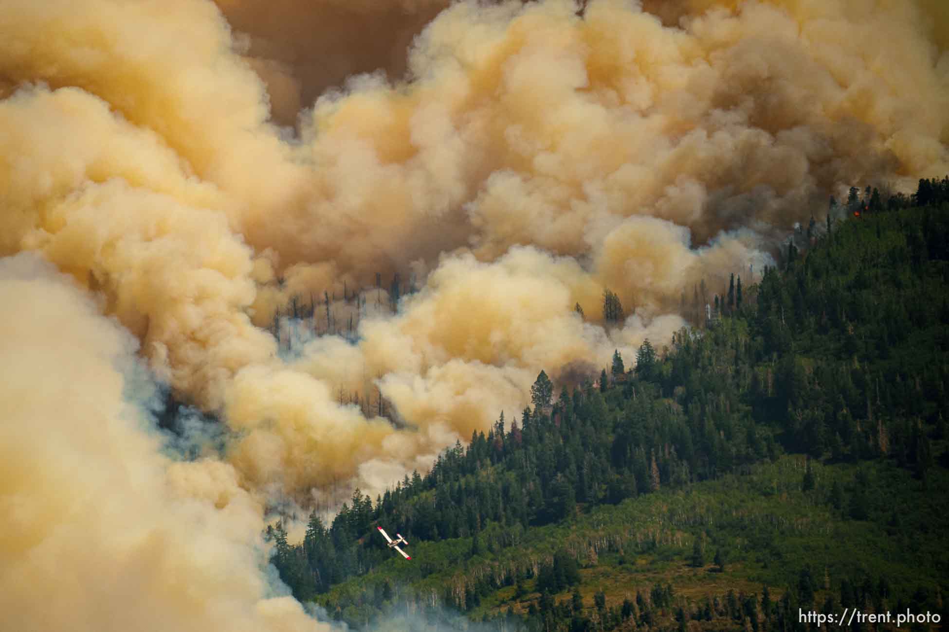 (Trent Nelson  |  The Salt Lake Tribune) The Parleys Canyon Fire burns on Saturday, Aug. 14, 2021.