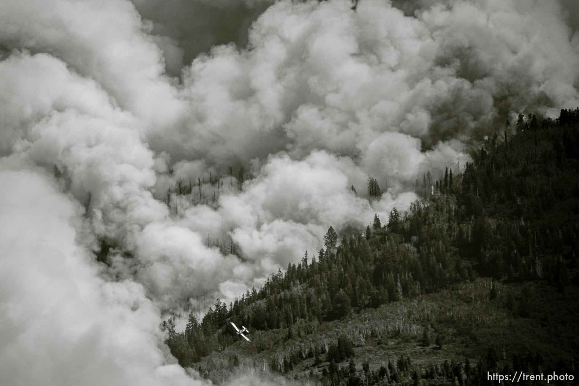 (Trent Nelson  |  The Salt Lake Tribune) The Parleys Canyon Fire burns on Saturday, Aug. 14, 2021.