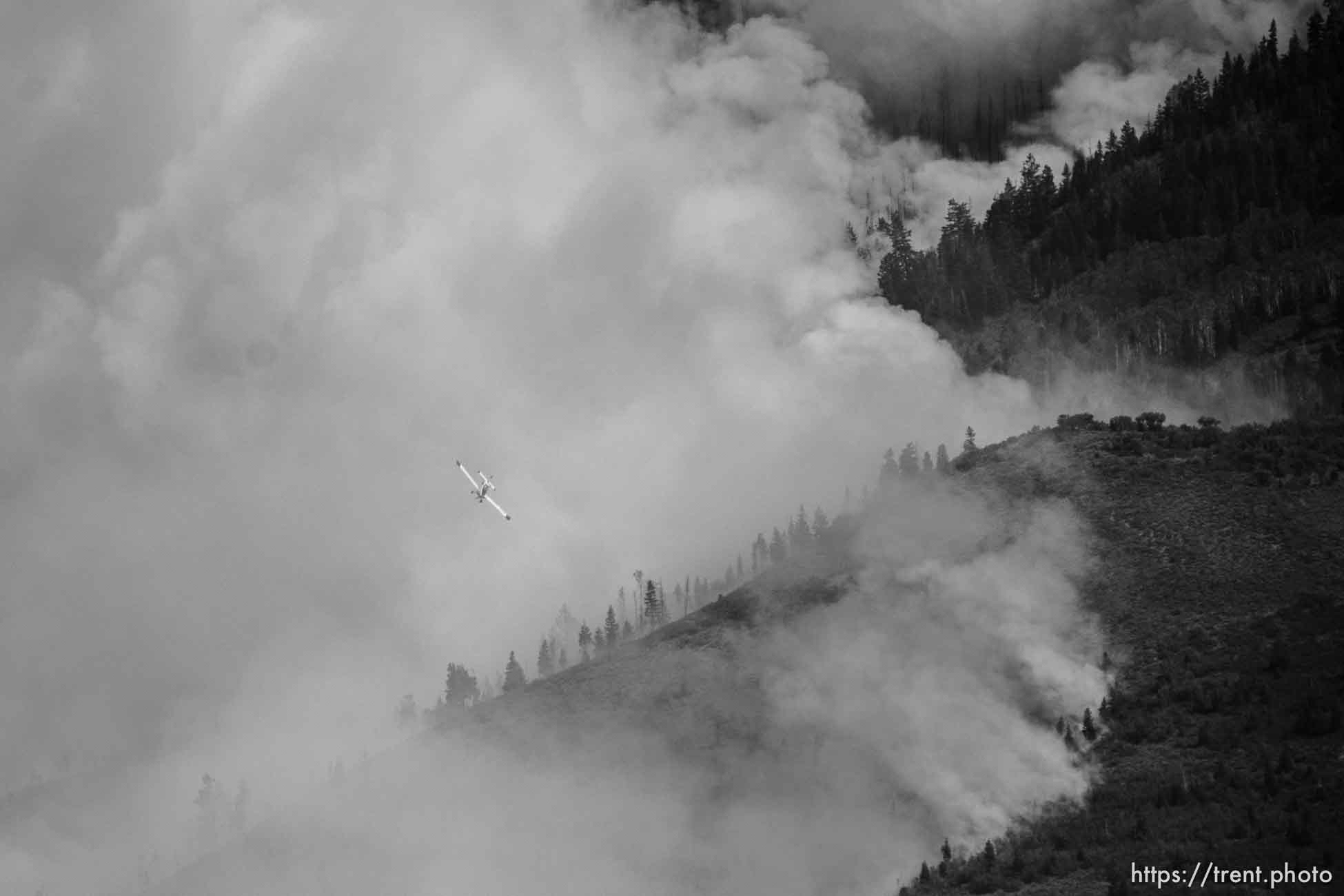 (Trent Nelson  |  The Salt Lake Tribune) The Parleys Canyon Fire burns on Saturday, Aug. 14, 2021.