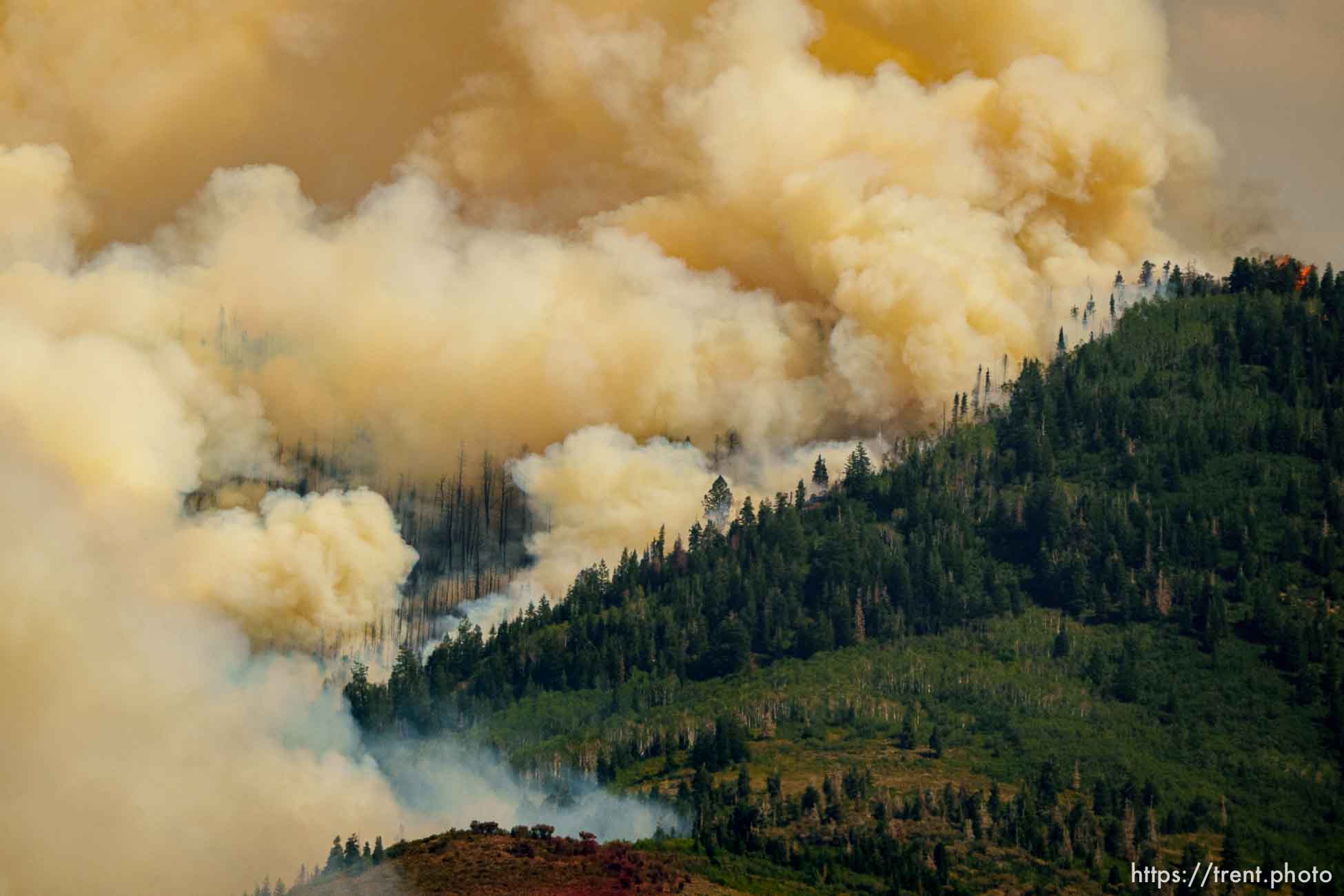 (Trent Nelson  |  The Salt Lake Tribune) The Parleys Canyon Fire burns on Saturday, Aug. 14, 2021.