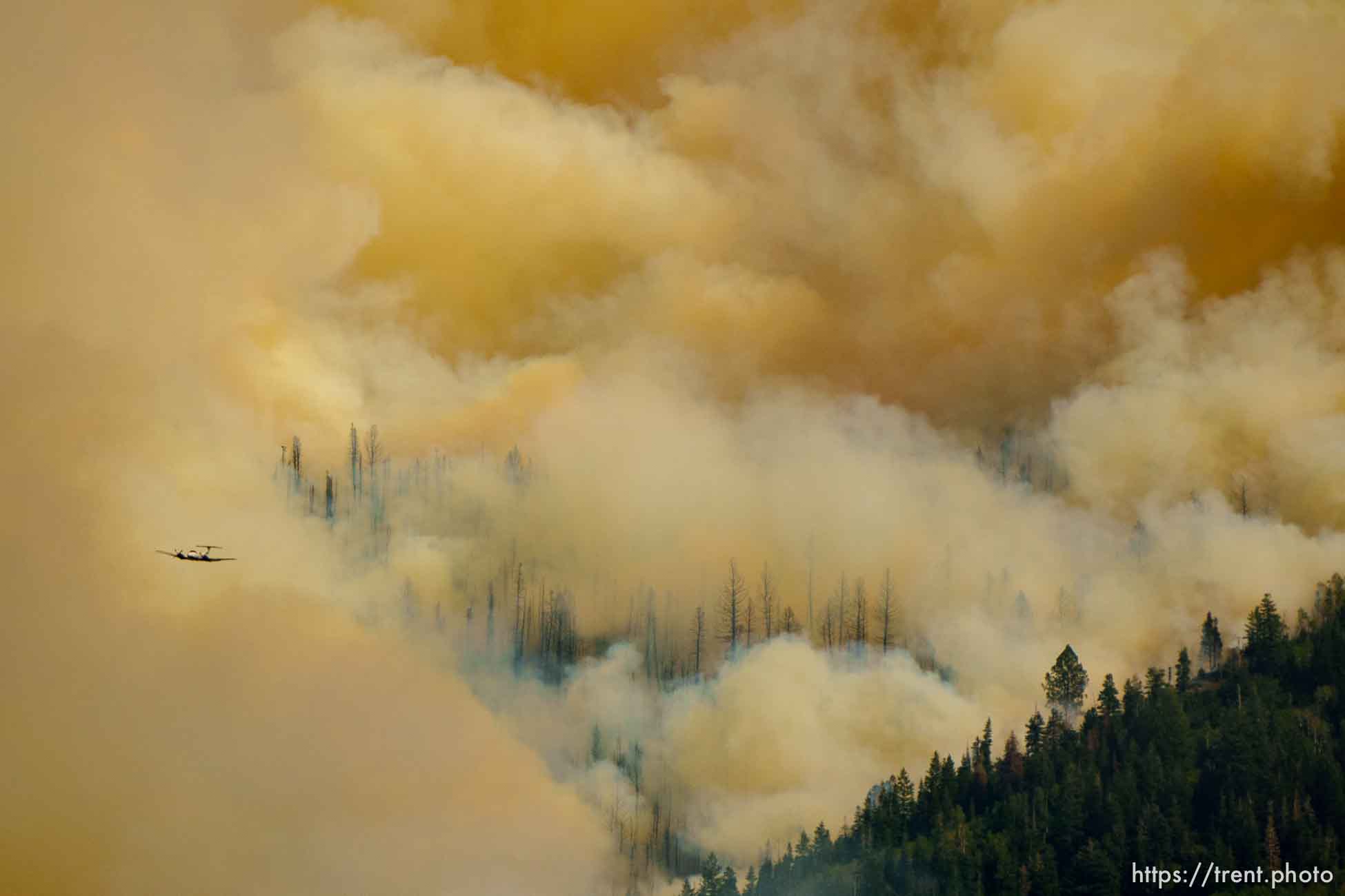 (Trent Nelson  |  The Salt Lake Tribune) The Parleys Canyon Fire burns on Saturday, Aug. 14, 2021.