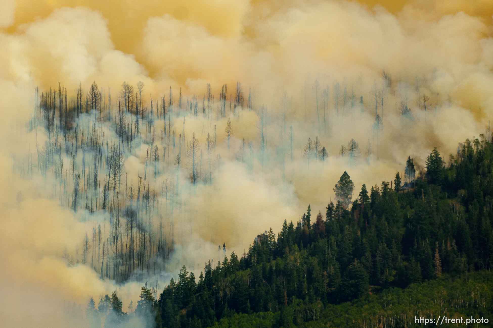 (Trent Nelson  |  The Salt Lake Tribune) The Parleys Canyon Fire burns on Saturday, Aug. 14, 2021.