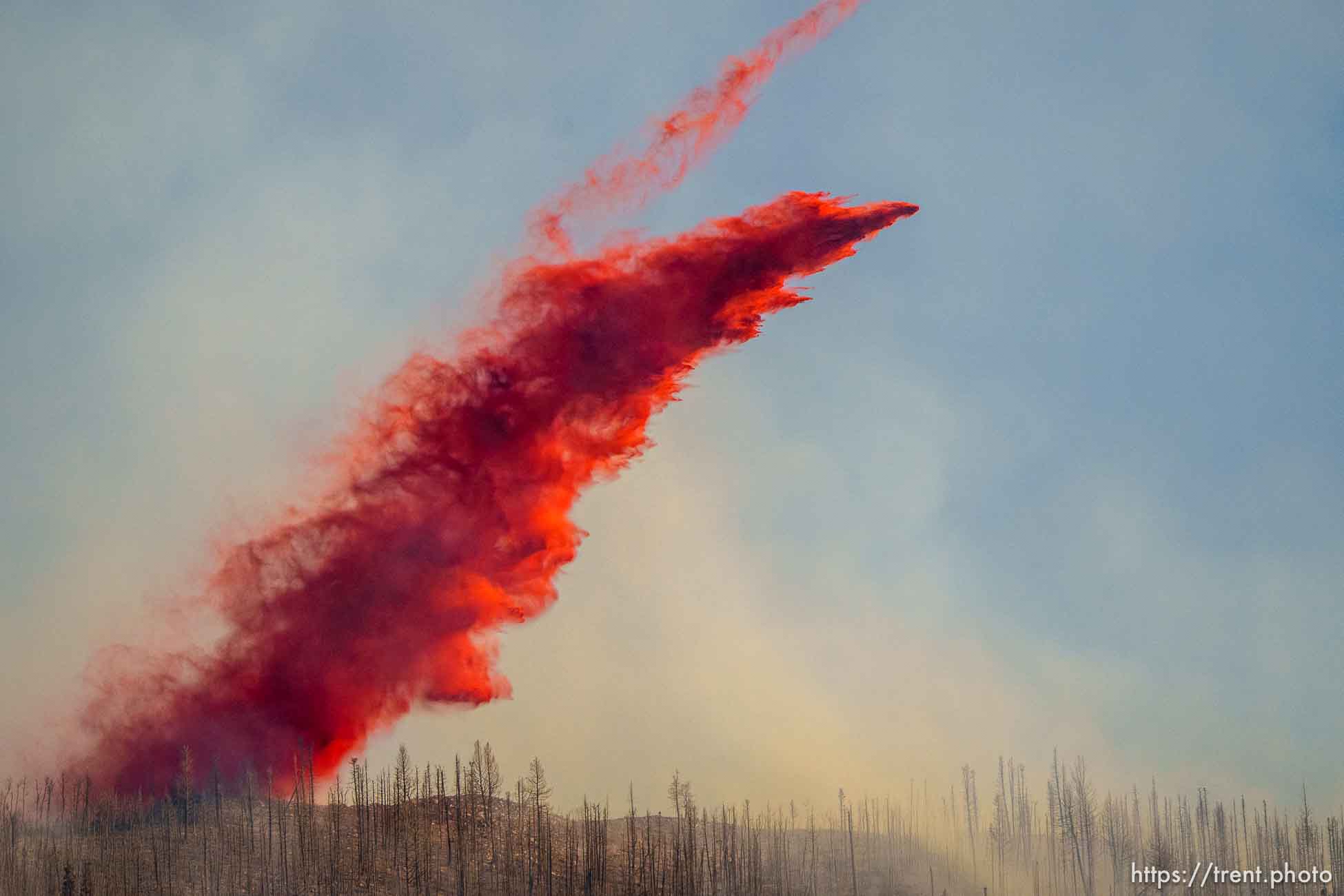 (Trent Nelson  |  The Salt Lake Tribune) The Parleys Canyon Fire burns on Saturday, Aug. 14, 2021.