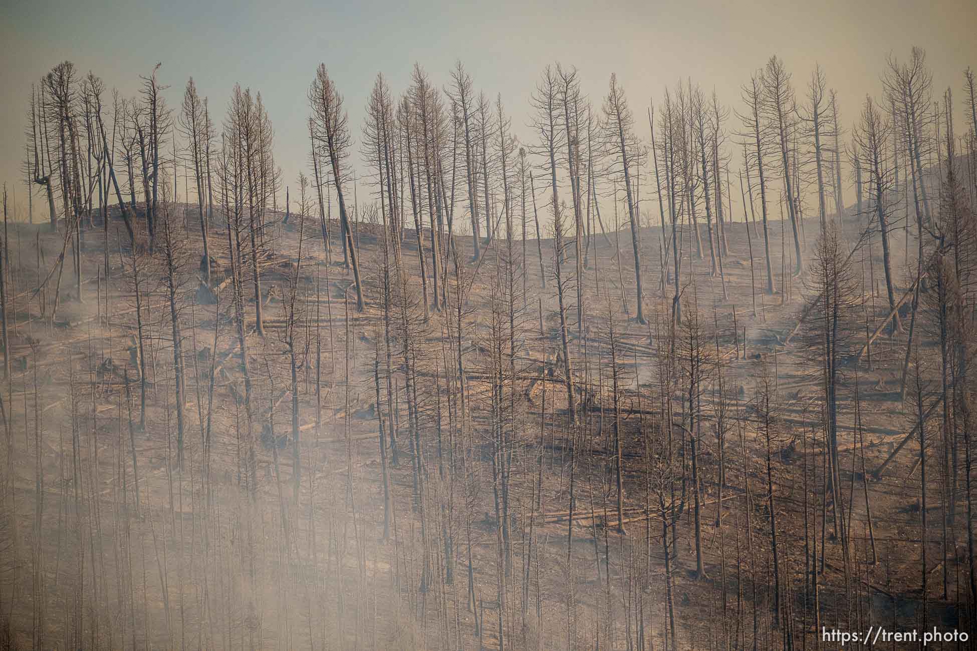 (Trent Nelson  |  The Salt Lake Tribune) The Parleys Canyon Fire burns on Saturday, Aug. 14, 2021.