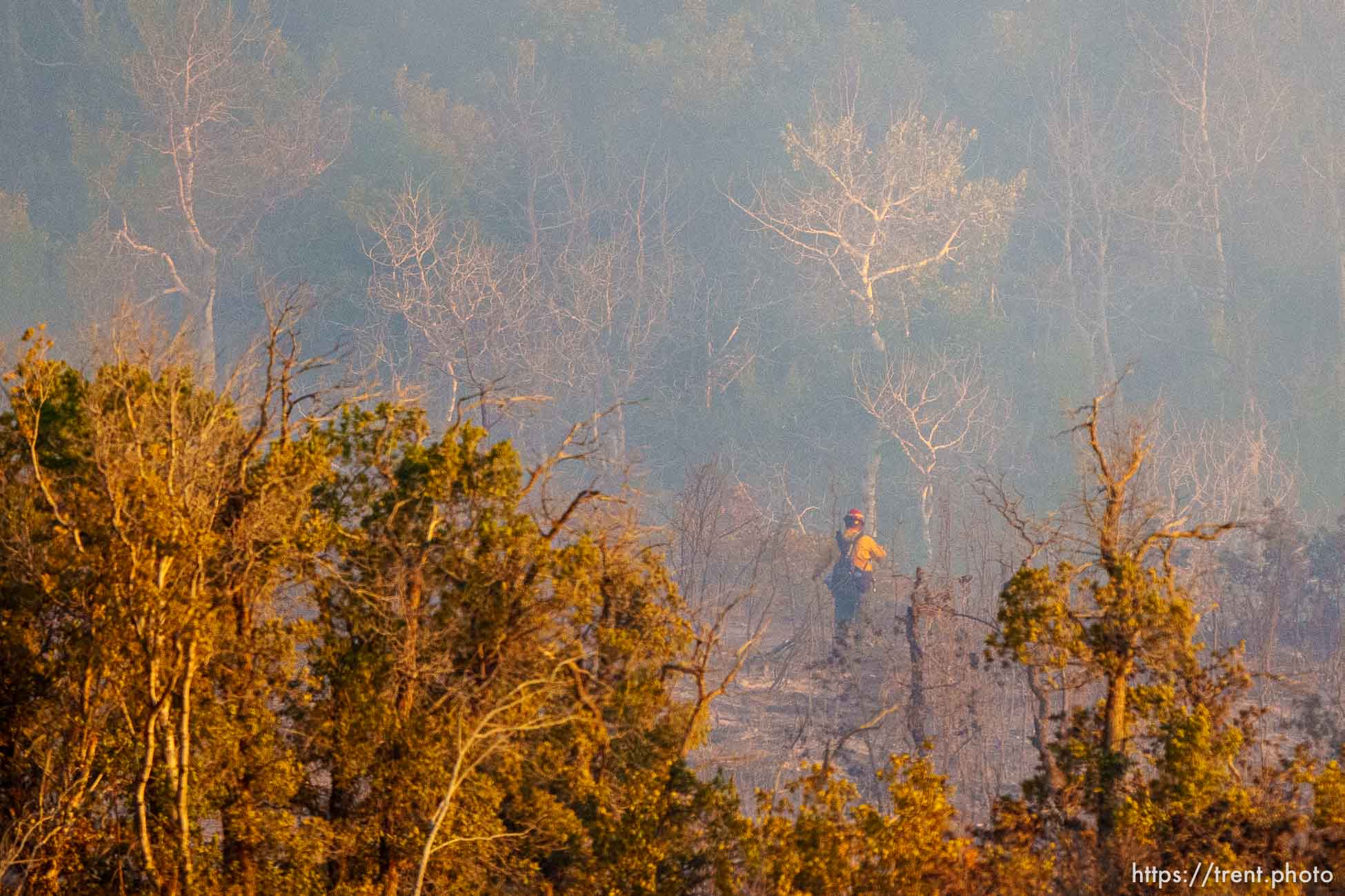 (Trent Nelson  |  The Salt Lake Tribune) Crews fight the Parleys Canyon Fire burns on Saturday, Aug. 14, 2021.