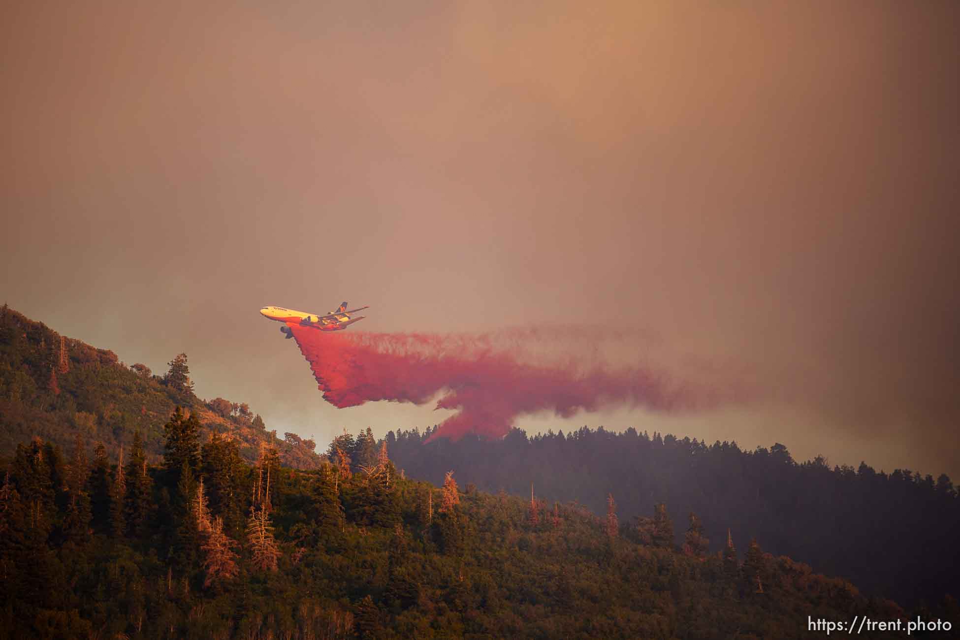 (Trent Nelson  |  The Salt Lake Tribune) Crews fight the Parleys Canyon Fire burns on Saturday, Aug. 14, 2021.