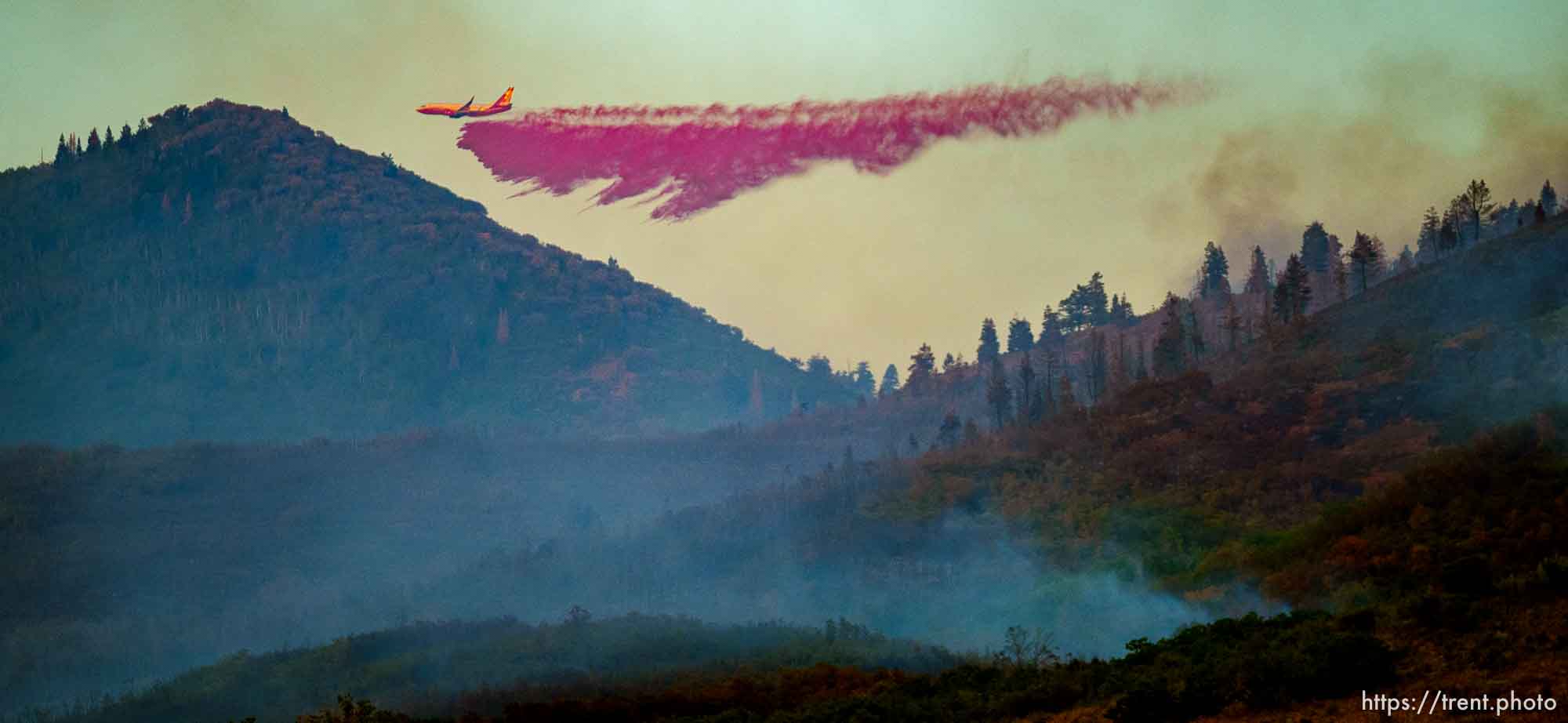 (Trent Nelson  |  The Salt Lake Tribune) The Parleys Canyon Fire burns on Saturday, Aug. 14, 2021.