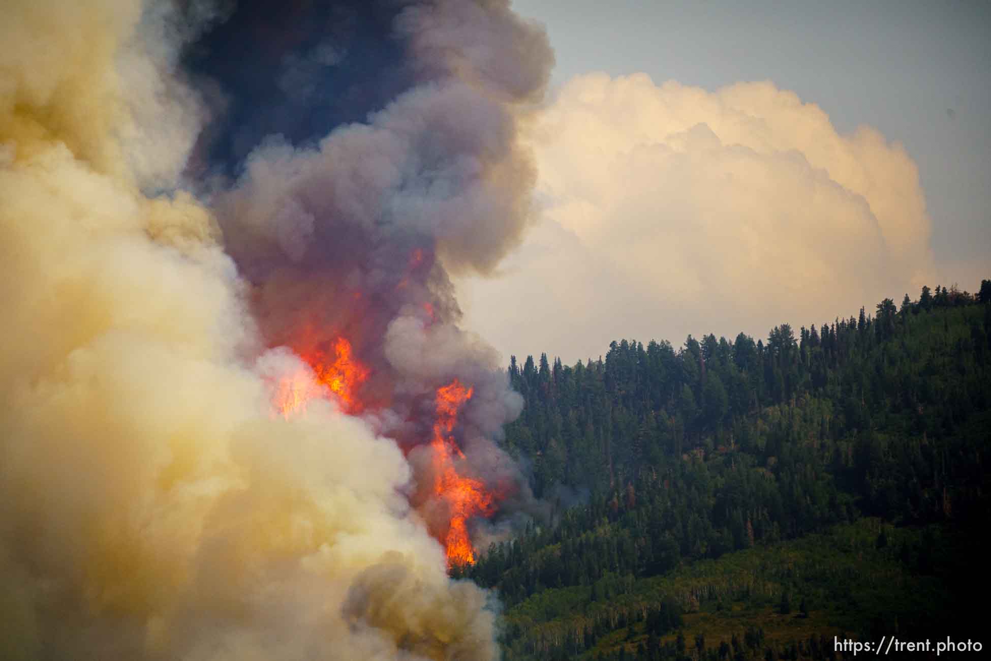 (Trent Nelson  |  The Salt Lake Tribune) 
fire on Saturday, Aug. 14, 2021.