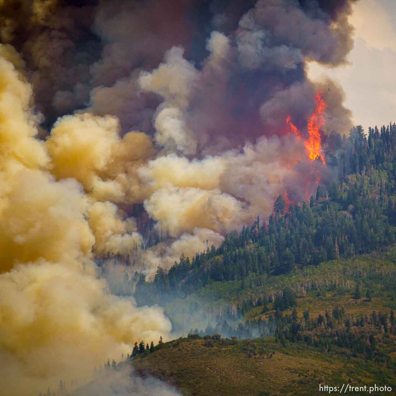 (Trent Nelson  |  The Salt Lake Tribune) 
fire on Saturday, Aug. 14, 2021.