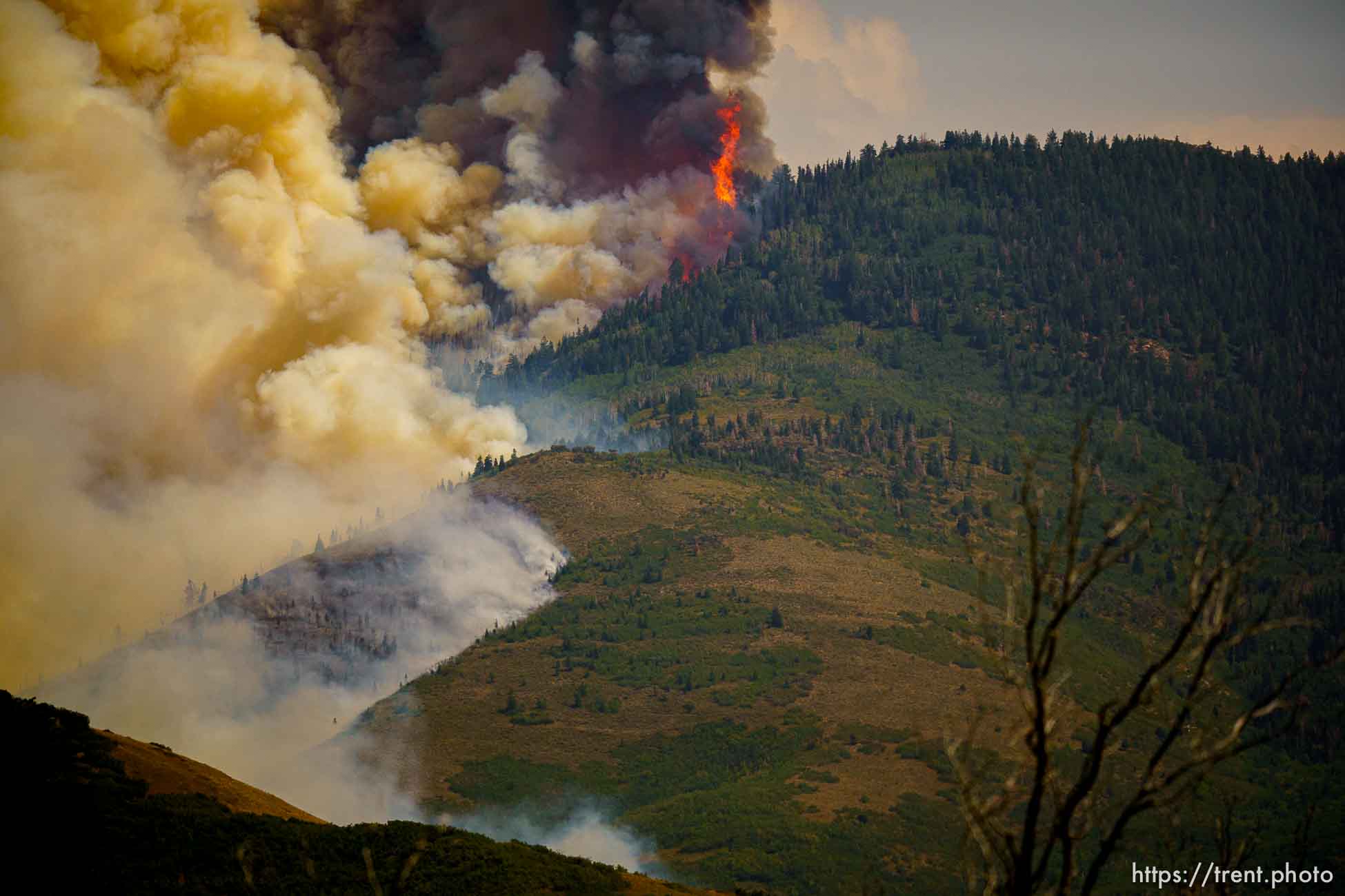 (Trent Nelson  |  The Salt Lake Tribune) 
fire on Saturday, Aug. 14, 2021.