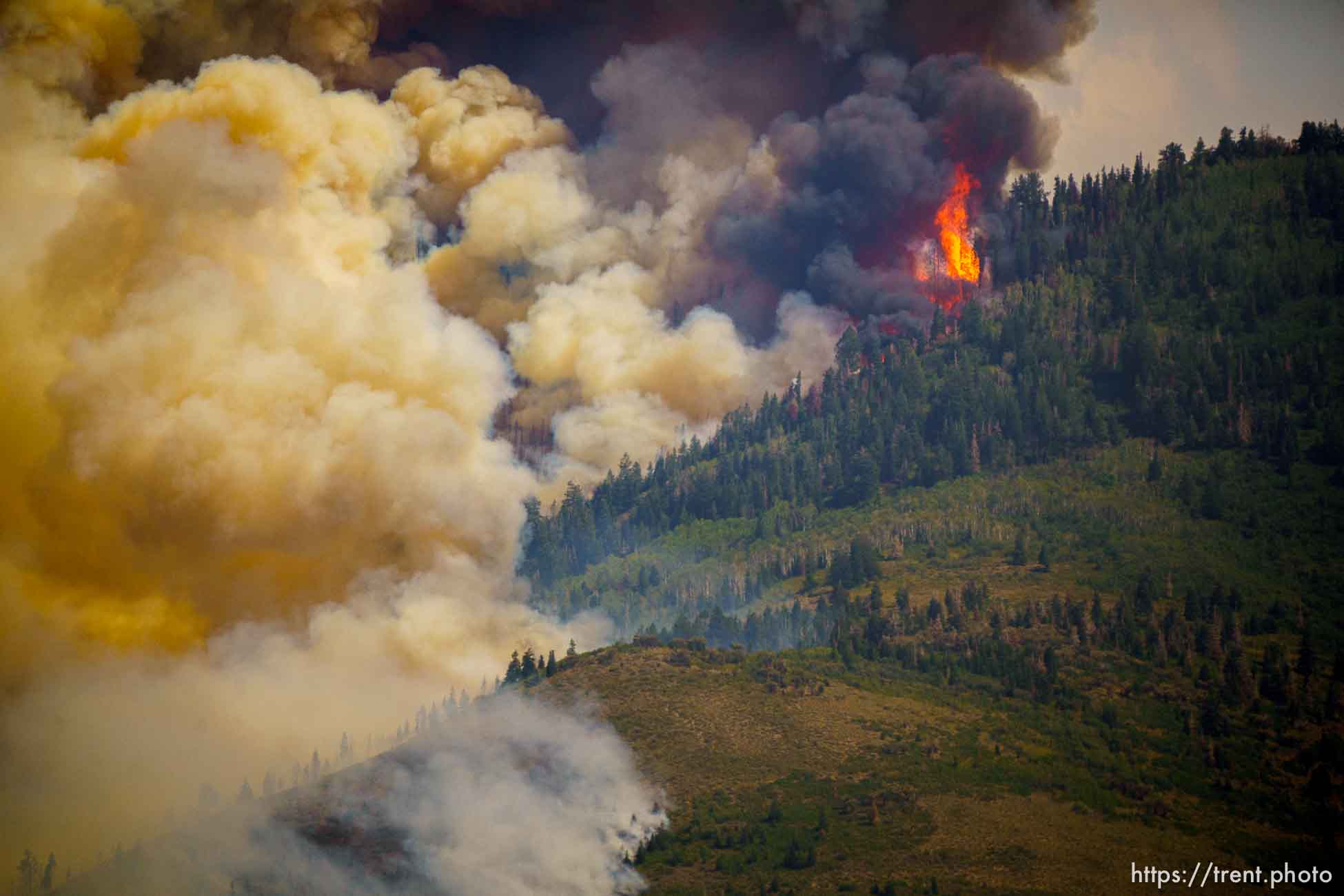 (Trent Nelson  |  The Salt Lake Tribune) 
fire on Saturday, Aug. 14, 2021.