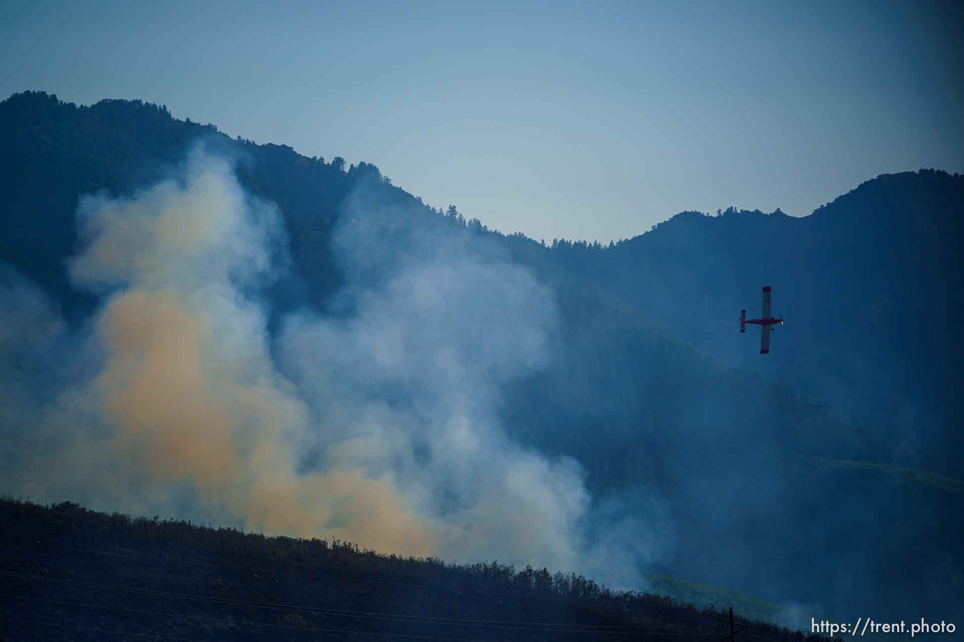 (Trent Nelson  |  The Salt Lake Tribune) The Parleys Canyon Fire burns on Saturday, Aug. 14, 2021.