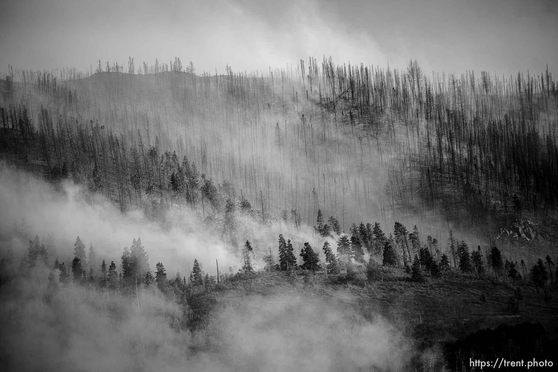 (Trent Nelson  |  The Salt Lake Tribune) The Parleys Canyon Fire burns on Saturday, Aug. 14, 2021.