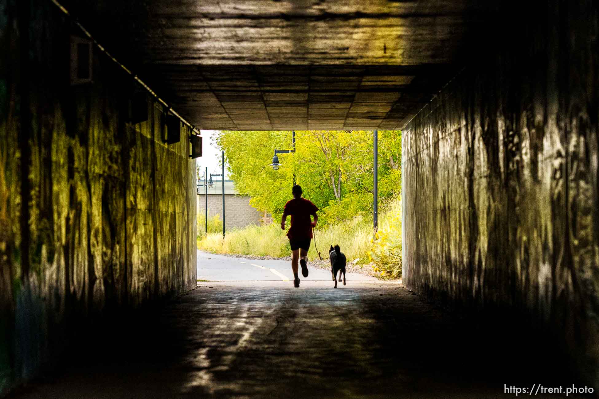 (Trent Nelson  |  The Salt Lake Tribune) The Rail Trail in Park City on Wednesday, Sept. 1, 2021.