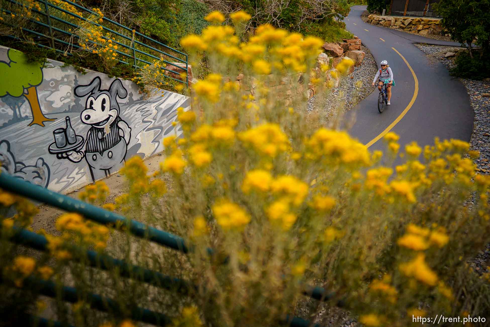 (Trent Nelson  |  The Salt Lake Tribune) The Rail Trail in Park City on Wednesday, Sept. 1, 2021.