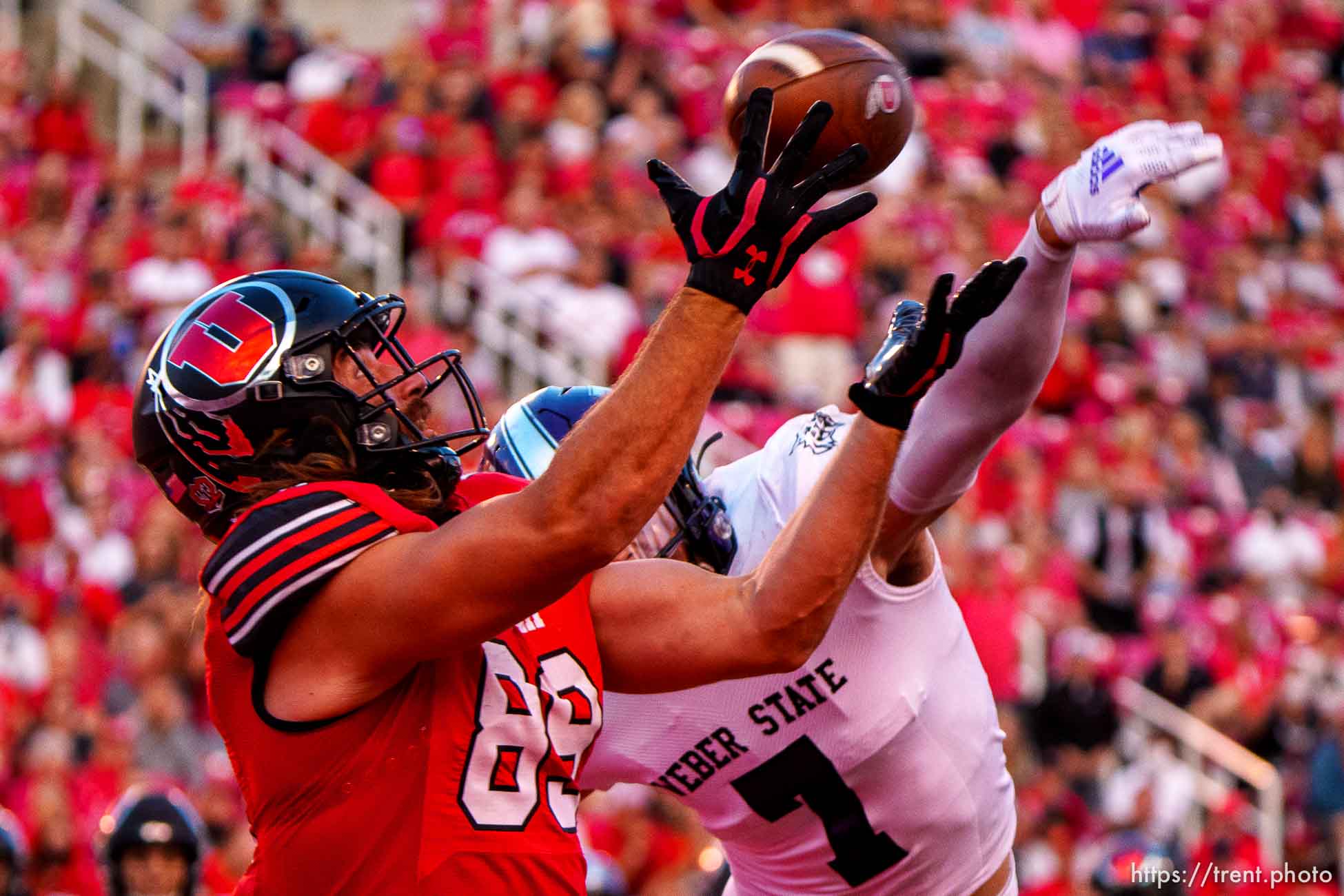 (Trent Nelson  |  The Salt Lake Tribune) Utah Utes tight end Cole Fotheringham (89) as the Utah Utes host the Weber State Wildcats in Salt Lake City on Thursday, Sept. 2, 2021.