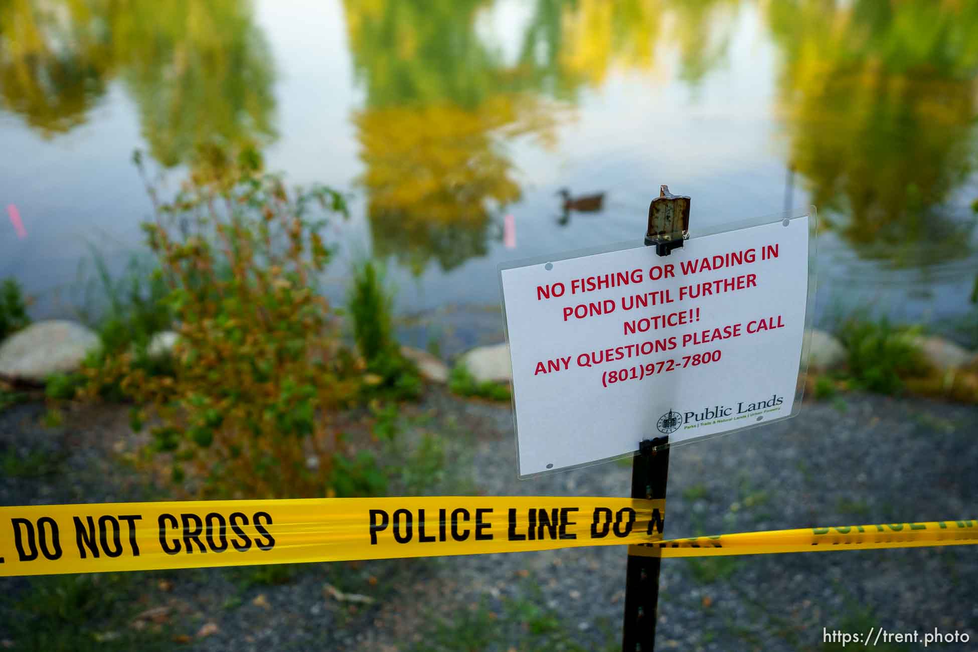 (Trent Nelson  |  The Salt Lake Tribune) Yellow tape surrounds the Fairmont Park Pond in Salt Lake City on Thursday, Sept. 9, 2021. Testing has revealed the potential presence of mercury.