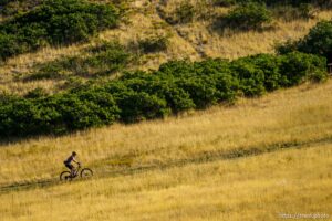 (Trent Nelson  |  The Salt Lake Tribune) A mountain biker rides the Meadow trail in the Salt Lake City foothills on Friday, Sept. 17, 2021.