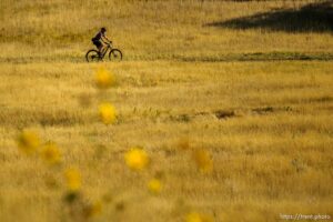 (Trent Nelson  |  The Salt Lake Tribune) A mountain biker rides the Meadow trail in the Salt Lake City foothills on Friday, Sept. 17, 2021.