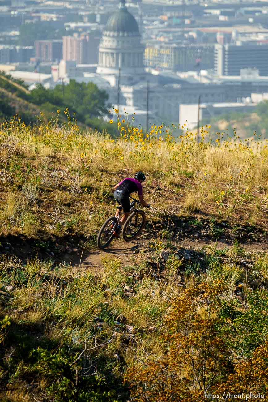 (Trent Nelson  |  The Salt Lake Tribune) A mountain biker rides the 19th Ave trail in the Salt Lake City foothills on Friday, Sept. 17, 2021.