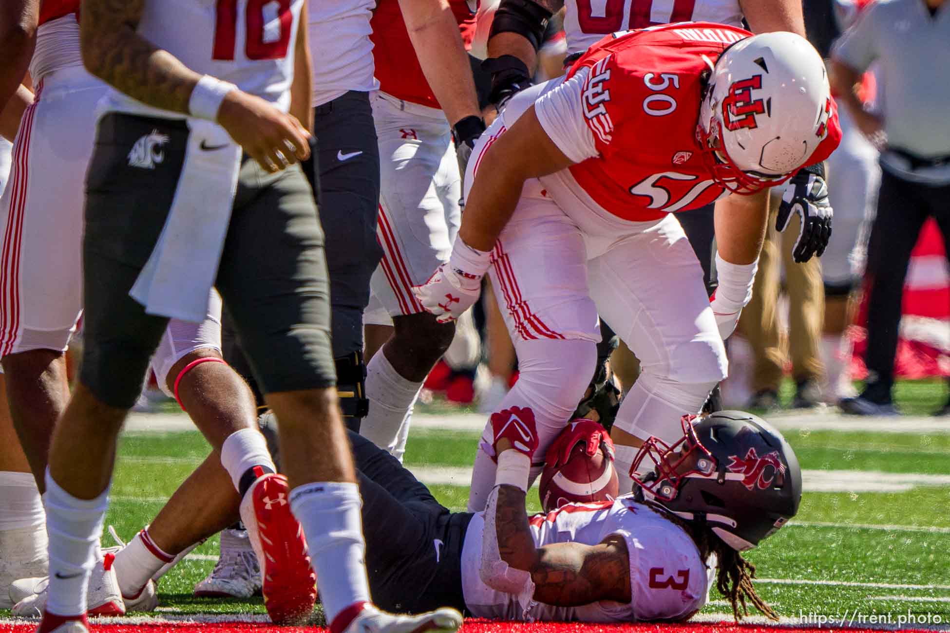 (Trent Nelson  |  The Salt Lake Tribune) Utah Utes defensive tackle Fua Pututau (50) stands over Washington State Cougars running back Deon McIntosh (3) as the University of Utah hosts Washington State, NCAA football in Salt Lake City on Saturday, Sept. 25, 2021.